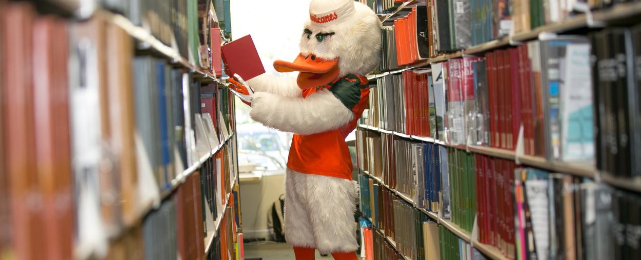 sebastian the ibis reads a book in the library